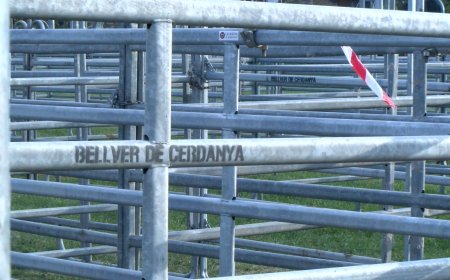 LA FIRA RAMADERA DE BELLVER NO TINDRÀ BESTIAR PEL CAS DE DERMATOSI A CATALUNYA