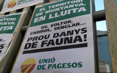 UNIÓ DE PAGESOS DENUNCIA RETARD EN EL PLA DE CONTROL POBLACIONAL DE FAUNA
