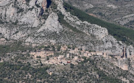 TREMP DESTINARÀ 15.000 € A LA GESTIÓ FORESTAL SOSTENIBLE D’UNS BOSCOS MUNICIPALS