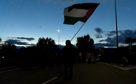150 PERSONES ES MANIFESTEN A LA SEU D’URGELL EN SUPORT A PALESTINA