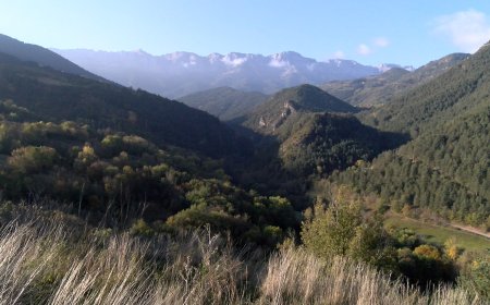 TOT A PUNT PER LA IV BUNQUERADA AL PARC DELS BÚNQUERS DE MARTINET I MONTELLÀ