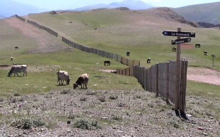 LES MILLORES AL REFUGI DEL NIU DE L’ÀLIGA ACABARAN ABANS DE FINAL D’ANY