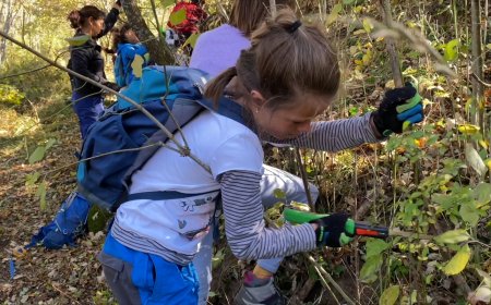 EL PROJECTE ‘CAMINS VELLS’ S’OBRE PAS A PRATS I SANSOR I LLES