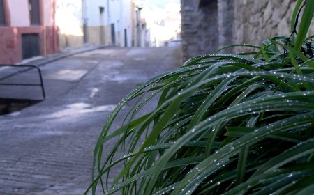 L’AJUNTAMENT D’OLIANA MILLORA DIFERENTS CARRERS DEL MUNICIPI