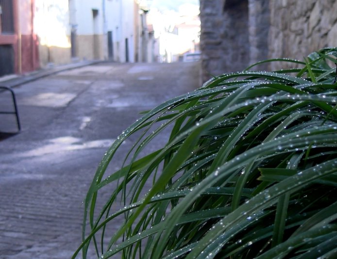 L’AJUNTAMENT D’OLIANA MILLORA DIFERENTS CARRERS DEL MUNICIPI