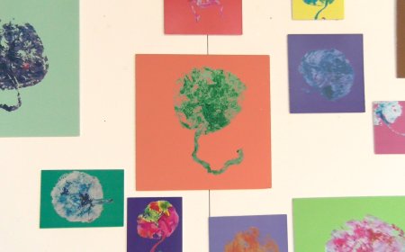 L’EXPOSICIÓ ‘PLACENTES’ ARRIBA AL VESTÍBUL DE L’HOSPITAL DE CERDANYA