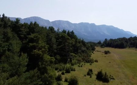 LA SEGONA EDICIÓ DELS PREMIS ODISSEU COMPTA AMB 22 CANDIDATURES PRESENTADES