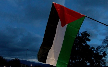 LA SEU D’URGELL ORGANITZA UNA XERRADA EN SUPORT A PALESTINA