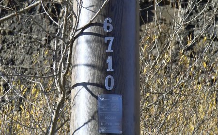 EL PONT DE SUERT DENUNCIA 2 ANYS DE RETARD DE TELEFÓNICA PER INSTAL·LAR FIBRA ÓPTICA A LES EMD