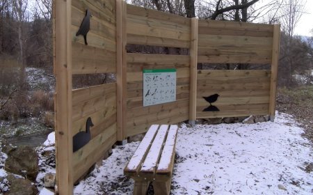 GER ESTRENA UN AGUAIT ORNITOLÒGIC A LA ZONA DEL RIU SEGRE