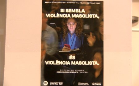 EL 25N A L’ALT PIRINEU APROFITA PER EXPOSAR ELS SERVEIS PER LLUITAR CONTRA AQUESTA XACRA