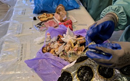 LLÍVIA HA ESTAT EL MUNICIPI CERDÀ SELECCIONAT PER FER UNA AUTÒPSIA DE RESIDUS