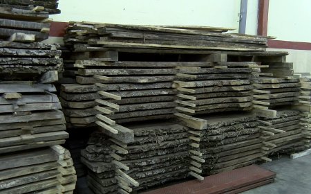 QUATRE JOVES IMPULSEN UNA SERRADORA A L’ALTA RIBAGORÇA