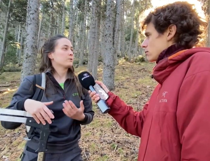 Crear nous escuts per als boscos de pi negre: Connecta Lleida Pirineus 12-11-2025