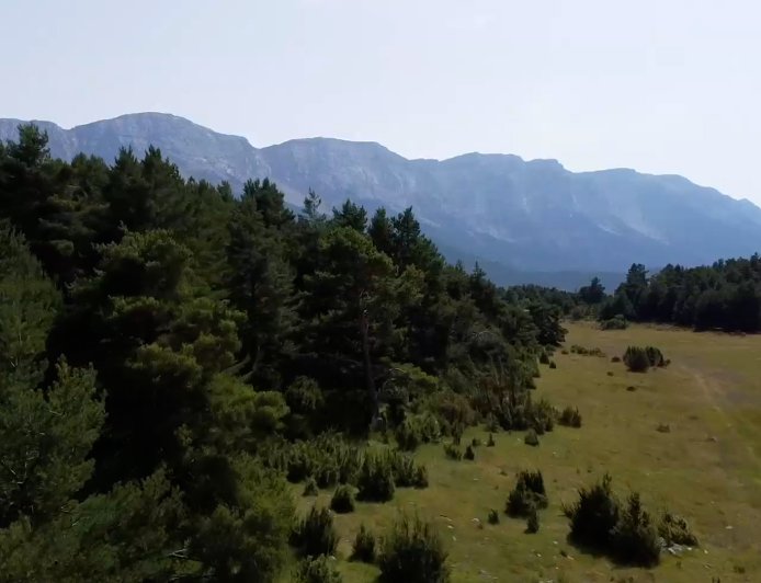 LA SEGONA EDICIÓ DELS PREMIS ODISSEU COMPTA AMB 22 CANDIDATURES PRESENTADES