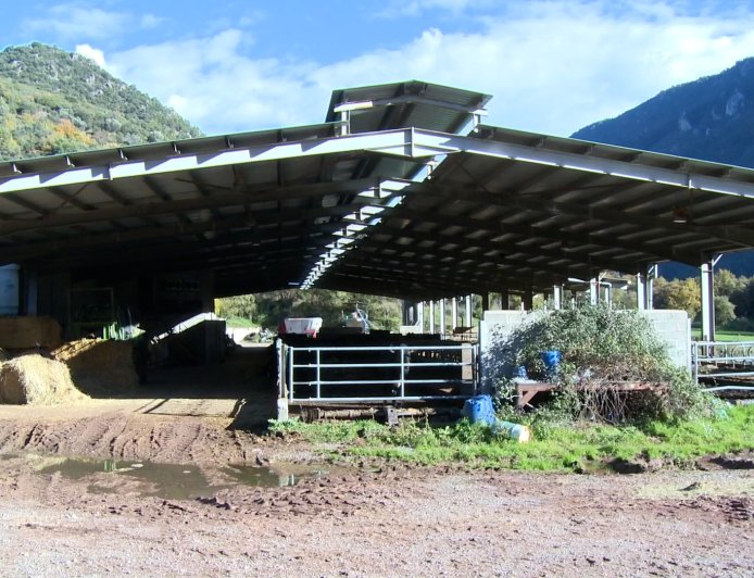 LA MANCA DE RELLEU FA TANCAR LA DARRERA GRANJA LLETERA DEL PALLARS SOBIRÀ