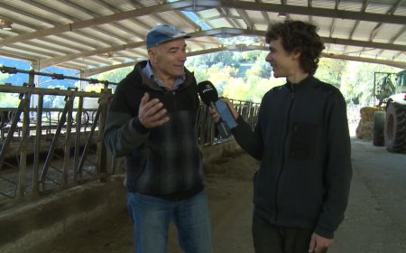 El final del sector lleter als Pallars: Connecta Lleida Pirineus 04-12-2025