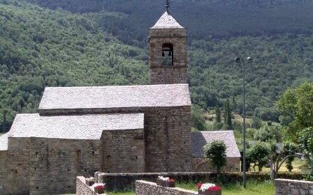 LA VALL DE BOÍ DENUNCIA FALTA DE RECURSOS PER GESTIONAR LES COLÒNIES FELINES