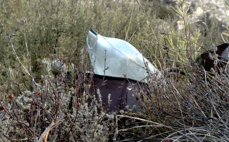 CRIDA AL VOLUNTARIAT PER LA DARRERA ACTUACIÓ DEL 2025 DEL GRUP PER UNA CATALUNYA NETA