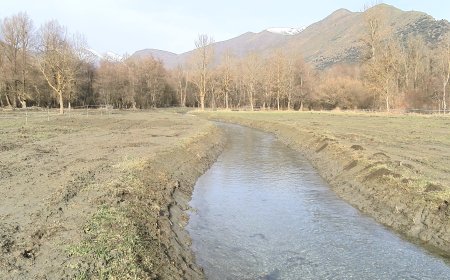 LA RESTAURACIÓ AMBIENTAL DEL PLA DE SALITO CONSERVARÀ UNA PLANTA AQUÀTICA ÚNICA DE LA ZONA