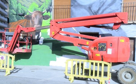 RIALP PLASMA EL SEU PATRIMONI EN UN MURAL DE GRANS DIMENSIONS INTERACTIU