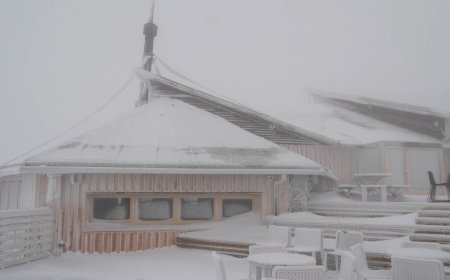 LA MOLINA REOBRE EL NIU DE L’ÀLIGA, RENOVAT I AMB NOVES EXPERIÈNCIES GASTRONÒMIQUES