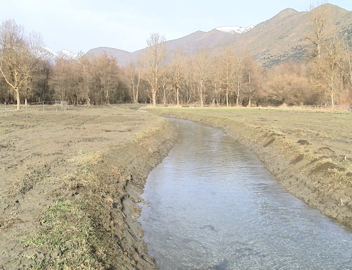 LA RESTAURACIÓ AMBIENTAL DEL PLA DE SALITO CONSERVARÀ UNA PLANTA AQUÀTICA ÚNICA DE LA ZONA