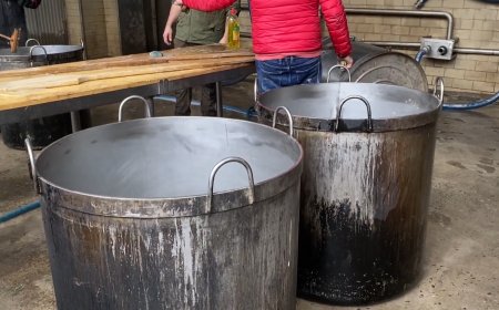 Calderes per omplir per Sant Antoni Abat: Connecta Lleida Pirineus 16-01-2026