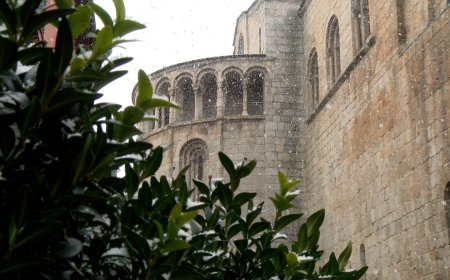 LA CANDIDATURA TRANSNACIONAL ES PRESENTARÀ AQUEST GENER A LA UNESCO