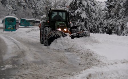 NEU A TOTES LES COTES I GRUIXOS DE 180 CM A LA TOSA