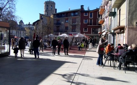 EL SECTOR ECONÒMIC DEL PIRINEU LAMENTA LA MANCA DE PROJECTE AL TERRITORI