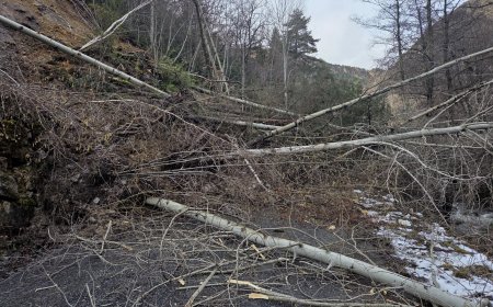 UNA ESLLAVISSADA TALLA LA CARRETERA DE SANT JOAN FUMAT