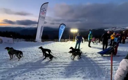 TUIXENT – LA VANSA RECUPERA EL CAMPIONAT DE CATALUNYA DE MÚIXING I CANICRÒS