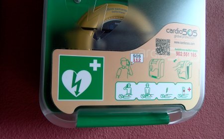 PUIGCERDÀ INSTAL·LA EL SETÈ DEA AL MUNICIPI