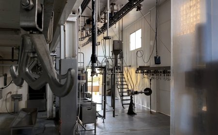 L’ALT URGELL QUEDA SENSE ESCORXADOR AMB EL TANCAMENT DE MAFRISEU