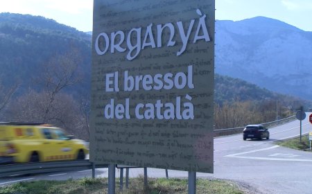 ORGANYÀ COMENÇA ELS TRÀMITS PER INSTAL·LAR SISTEMES DE LECTORS DE MATRÍCULES