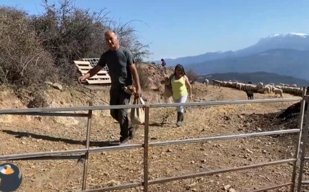 Les eleccions agràries i el repte del relleu generacional: Connecta Lleida Pirineus 27-02-2026