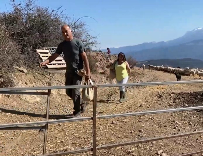 Les eleccions agràries i el repte del relleu generacional: Connecta Lleida Pirineus 27-02-2026