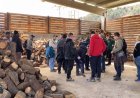 Compartir formació i inclusió en el sector agroforestal: Connecta Lleida Pirineus 11-03-2026