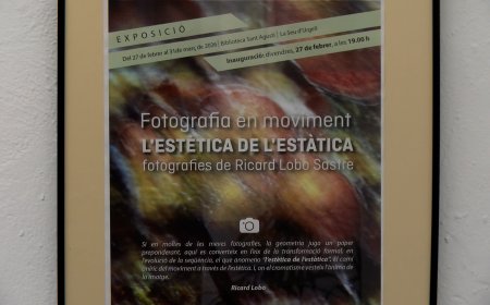 LA NOVA EXPOSICIÓ DE RICARD LOBO CONVERTEIX EN ART LA FOTOGRAFIA EN MOVIMENT