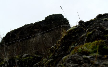 CASTELLBÒ REIVINDICA EL SEU PASSAT FEUDAL AMB UNA VISITA GUIADA