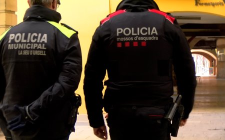 UN DISPOSITIU INSPECCIONA SIS BARBERIES DE LA SEU D’URGELL