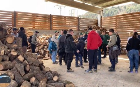 Compartir formació i inclusió en el sector agroforestal: Connecta Lleida Pirineus 11-03-2026