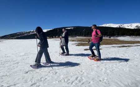 CERDANYA VOL POTENCIAR EL TURISME DE NEGOCIS