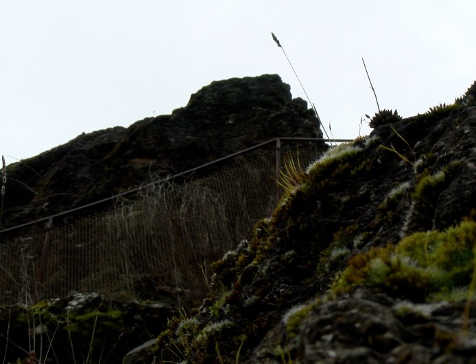 CASTELLBÒ REIVINDICA EL SEU PASSAT FEUDAL AMB UNA VISITA GUIADA