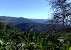 36 SOL·LICITUDS ALS AJUTS DEL TIQUET RURAL A L’ALT PIRINEU I ARAN
