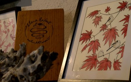 LA RECTORIA D’ALINYÀ CONSOLIDA EL PROJECTE ARTÍSTIC AMB L’INICI D’UNA NOVA TEMPORADA