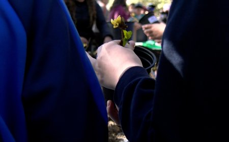 L’ALUMNAT DE CINQUÈ DE PRIMÀRIA CELEBRA EL DIA DE L’ARBRE A LA SEU D’URGELL