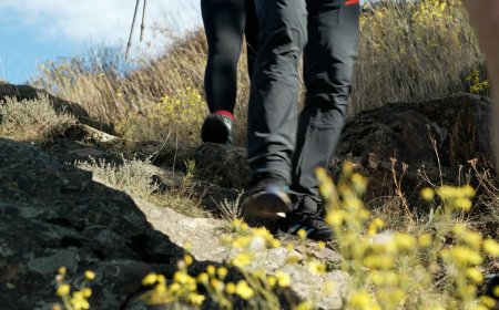 ELS FESTIVALS DE SENDERISME DELS PIRINEUS POSEN EL PUNT DE MIRA EN EL CANVI CLIMÀTIC