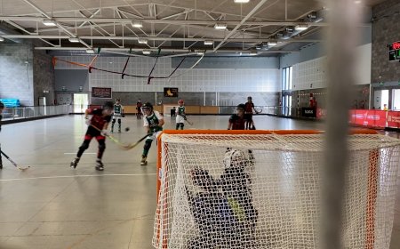 LA SEU D’URGELL RECUPERA LES SUBVENCIONS ALS CLUBS ESPORTIUS AMB NOVES BASES